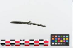 Foto von Bronzeösenarmring (NHMW-PRAE-024305)